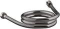 Vibrant Titanium 60-Inch Metal Shower Hose W558230