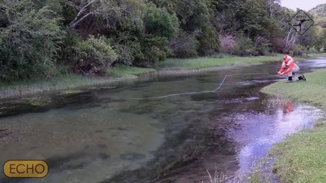9ft 0in 8wt Fly Rod L943253