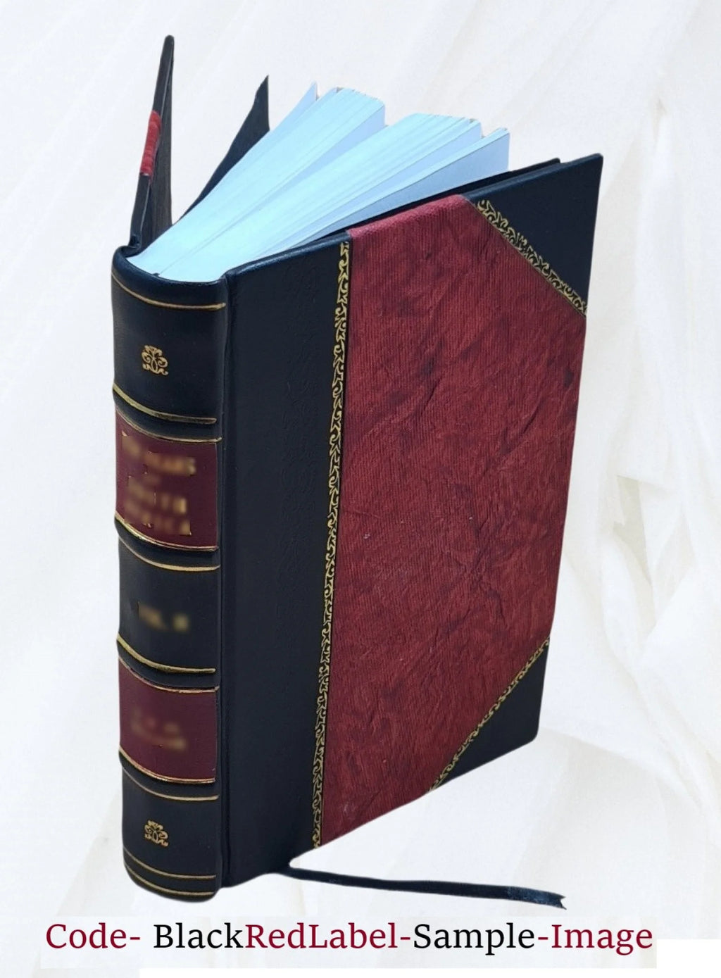 Leather Bound Book H256494