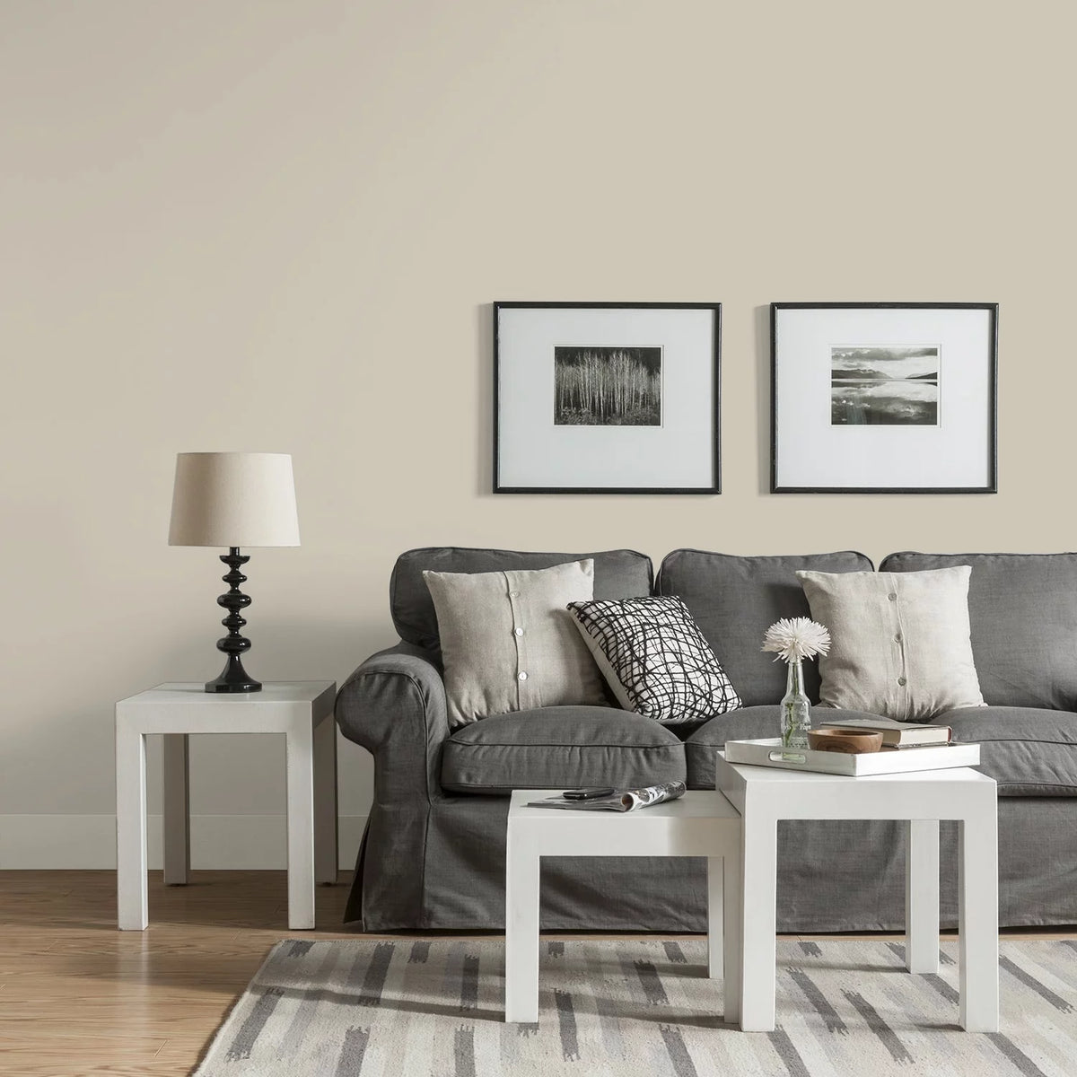 Interior Paint + Primer Eggshell 1 Gallon F16999