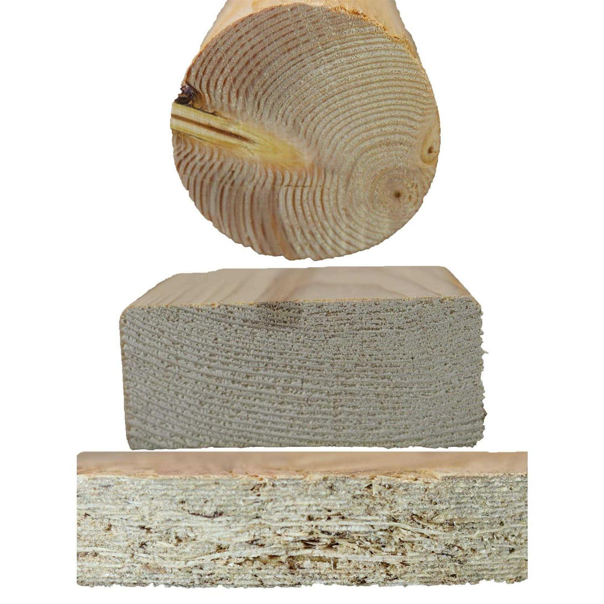 Cat Scratching Post with Sleeping Perch B857135
