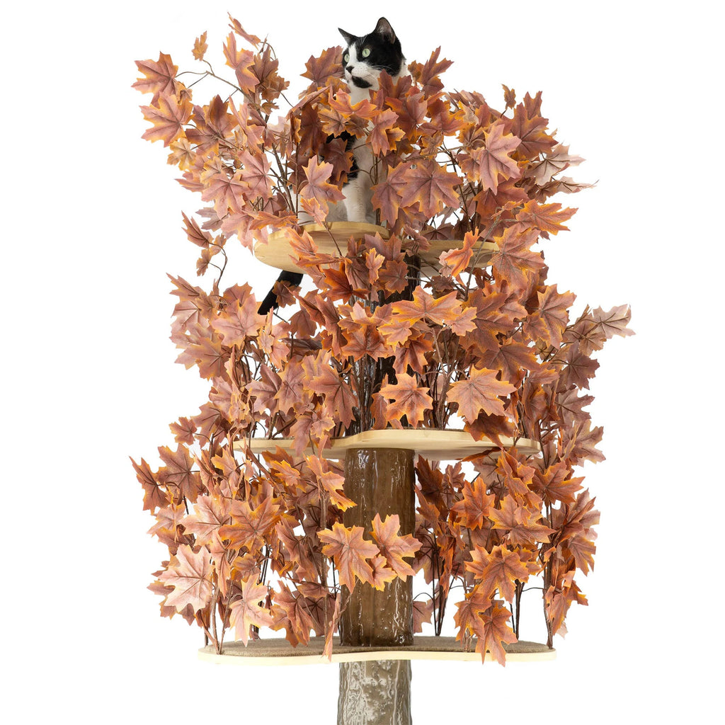 Plum Autumn 60-in Square Cat Tree T397